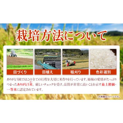 ふるさと納税 岡山県 矢掛町 新米 令和5年産 米 岡山県産 きぬむすめ 白米 選べる 20kg ありがとう園《30日以内に出荷予定(土日祝除く)》岡山県 矢掛町 米 コ…