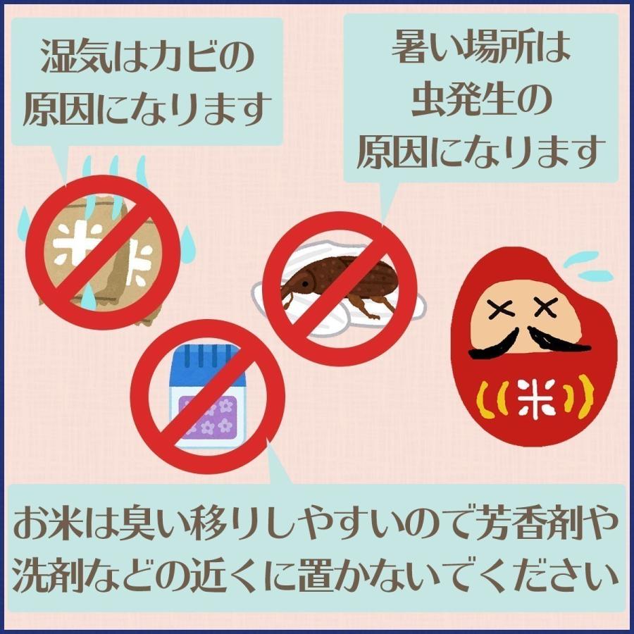 玄米　令和5年産　新潟県産こしいぶき　2等　30kg