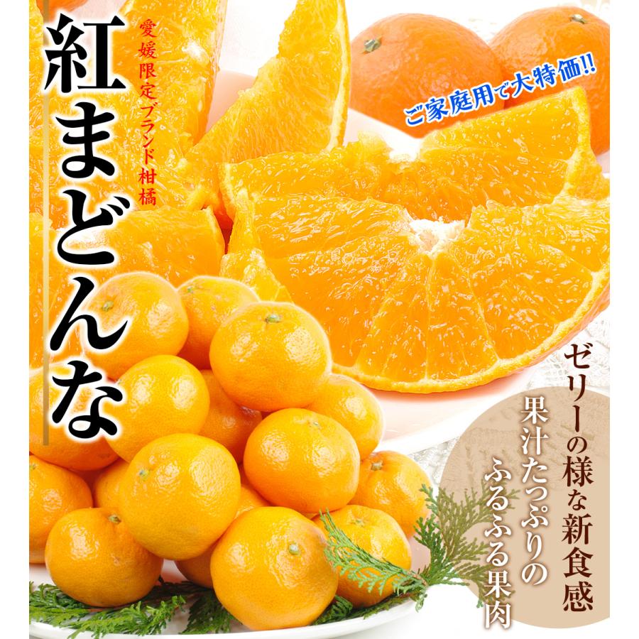 みかん 5kg 愛媛産 紅まどんな ご家庭用 柑橘 蜜柑 送料無料 食品