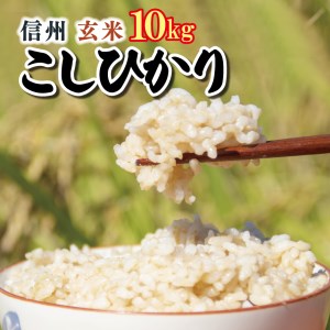信州米 こしひかり 玄米 10kg 長野県産