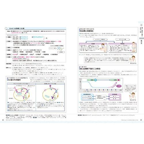 薬がみえる vol.2