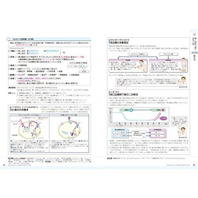 薬がみえる vol.2 | LINEショッピング