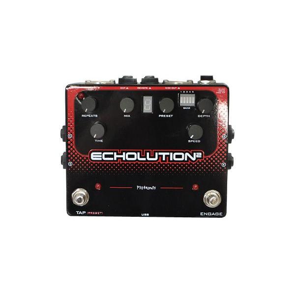 PIGTRONIX（ピグトロニクス） Echolution Delay　ディレイ