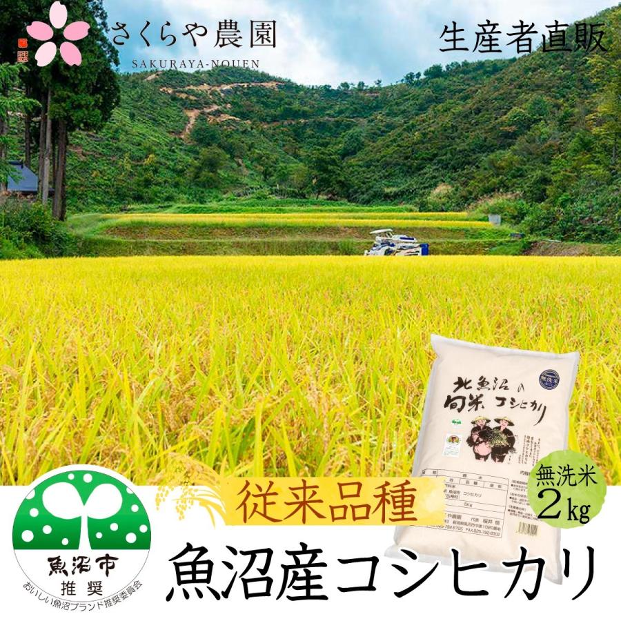 新米 農家直売 令和５年産 魚沼産コシヒカリ 無洗米 2kg 魚沼市推奨ブランド米認定米