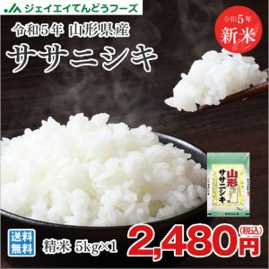 新米　お米 令和5年 山形県産 ササニシキ 精米 5kg（5kg×1袋） 産地直送  rys0505