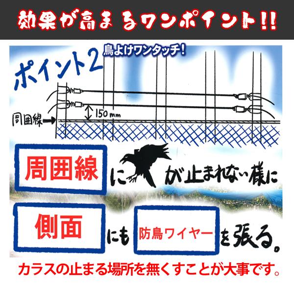 バネ付きワイヤーテンション金具 鳥よけワイヤー 鳥よけワンタッチ ビニールハウス 農業資材