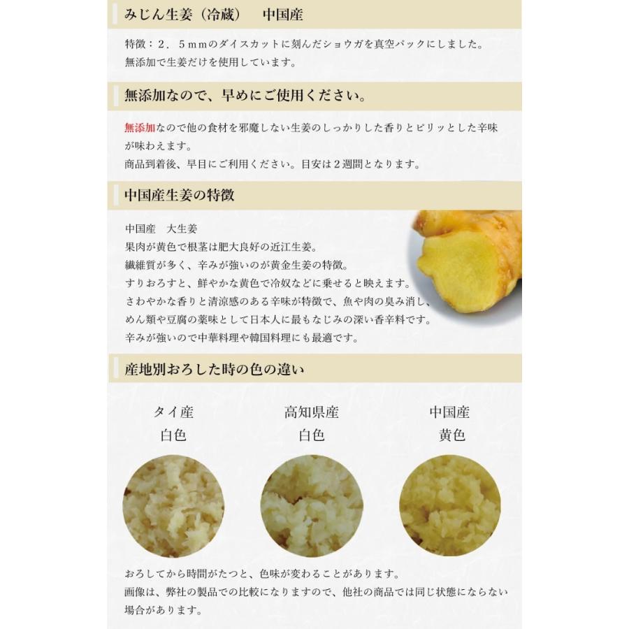 冷蔵 みじん切り生姜 1kg 中国産