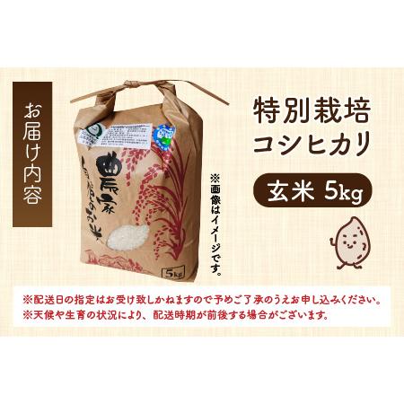 ふるさと納税 令和5年産 新米 無農薬・化学肥料不使用 永平寺町寺本の米 特別栽培コシヒカリ 玄米 5kg [B-027009] 福井県永平寺町