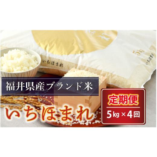 ふるさと納税 福井県 坂井市 さんさん池見二代目がお届けする 福井県産いちほまれ 5kg × 4回 計20kg（5分づき） [D-0203_03…