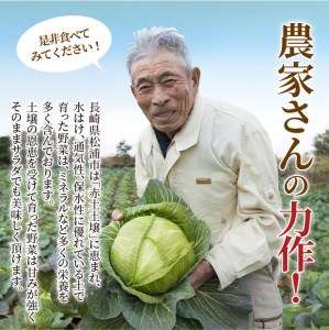 道の駅松浦海のふるさと館『旬のお野菜＋産みたて濃厚玉子6個』の大満足セット！