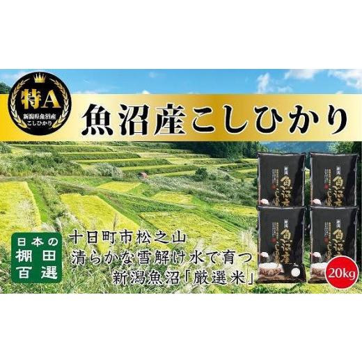 ふるさと納税 新潟県 食味鑑定士が選ぶ　日本棚田百選のお米　天空の里・魚沼産こしひかり　５kg×４