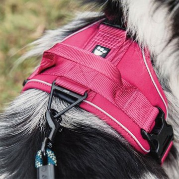 芬蘭 Hurtta 全護機能胸背 Active Harness_100_三色可選