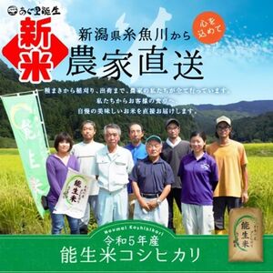 新潟県産コシヒカリ  [玄米]30kg 農家直送（小分け・精米サービス可能）