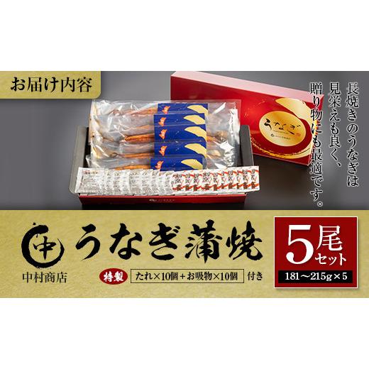 ふるさと納税 宮崎県 ◆中村商店　うなぎ蒲焼5尾セット