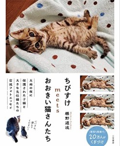 ちびすけmeetsおおきい猫さんたち (単行本) 椹野 道流