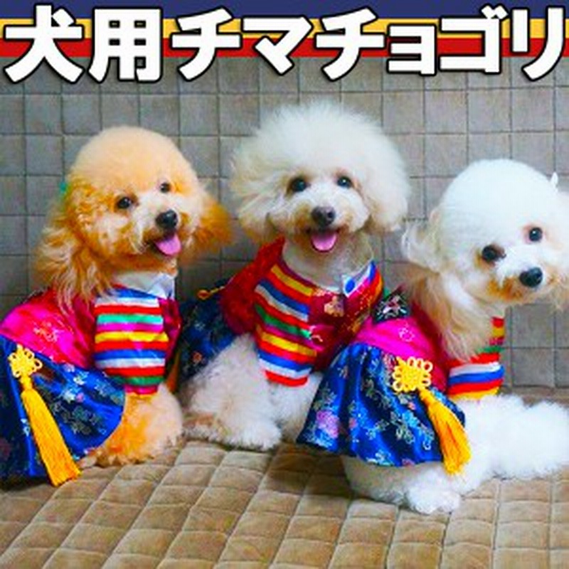 送料無料 犬用 韓国民族衣装チマチョゴリ サイズ Xs超小型犬 S小型犬 M中型犬 L大型犬 Xl超大型犬 納期 約2 3週間 通販 Lineポイント最大1 0 Get Lineショッピング