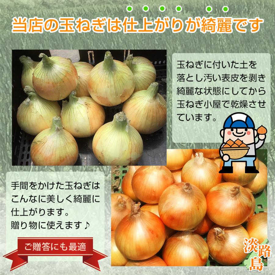 最高品質 淡路島産 玉ねぎ 2Lサイズ 3kg [割引ショップスタンプ付]