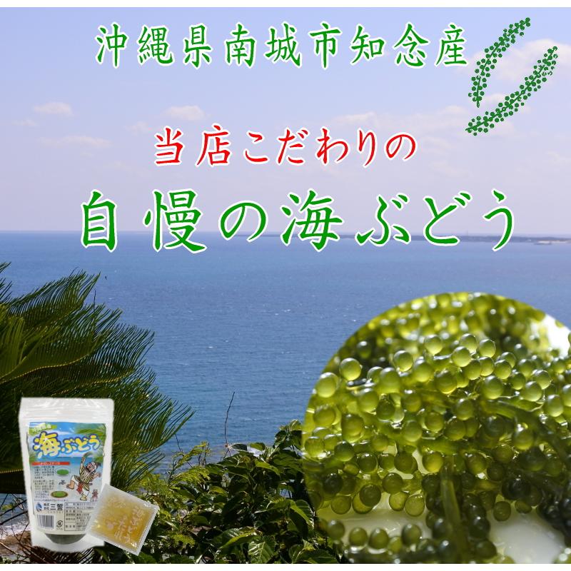 沖縄県産 感謝の海ぶどう 50g×3袋 タレ付 化粧箱なし