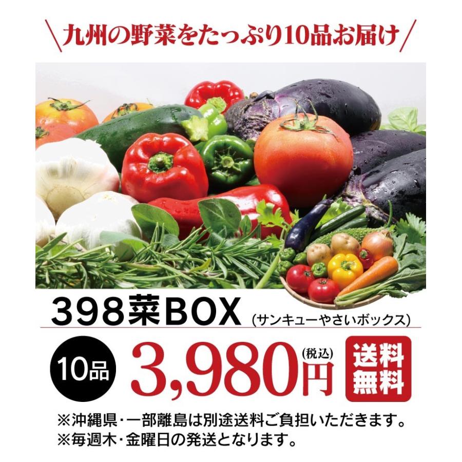 398菜BOX（サンキューやさいボックス）野菜 10品 詰め合わせ 夏野菜 冬野菜 冷蔵便 おおしま屋出荷 送料無料 ギフト 大嶌屋（おおしまや）