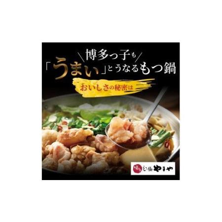 ふるさと納税 国産牛モツたっぷり600g！大容量5-6人前　やまやの博多もつ鍋セット　TY2802 福岡県上毛町