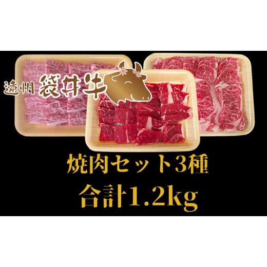 ふるさと納税 静岡県 袋井市 稀少！遠州袋井牛 焼肉セット 3種 計1.2kg 贅沢 ヘルシー 料理 グルメ 肉 BBQ アウトドア 人気 厳選 袋井市