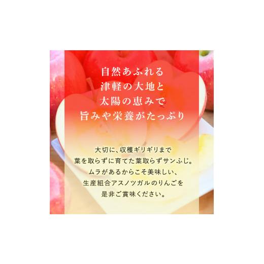 ふるさと納税 青森県 弘前市 （13度糖度保証）贈答用葉とらずサンふじ約5kg