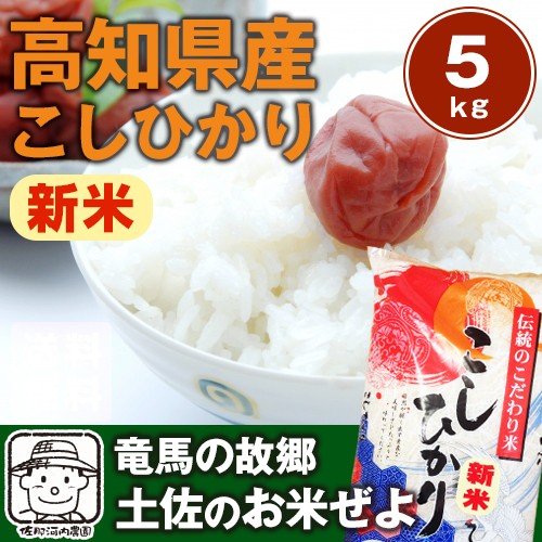 令和5年産新米　高知県産コシヒカリ　5ｋｇ ※北海道、沖縄及び離島は別途発送料金が発生します