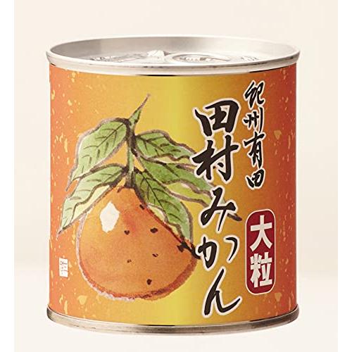 小南農園 和歌山県産 田村みかん缶詰 大粒限定（295g×8個）