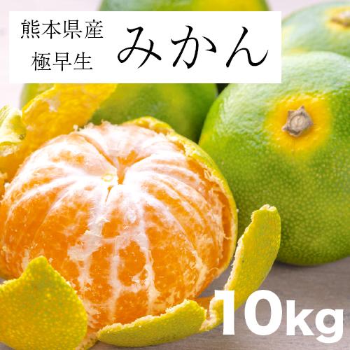 熊本県産  極早生みかん  約10kg 箱込み家庭用 Sサイズ〜2L混合 熊本 九州 みかん 極早 熊本産  蜜柑 食品 訳あり 規格外 加工品