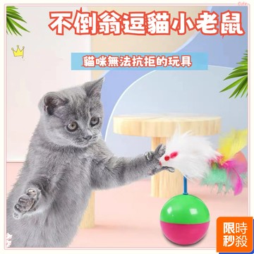 🌈限時秒殺 不倒翁逗貓老鼠 不倒翁老鼠 逗貓玩具 貓咪玩具 貓咪自嗨 寵物玩具 不倒翁羽毛 貓咪不倒球 不倒翁羽毛鼠