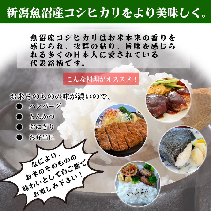 米 お米 4kg 新潟 魚沼産 コシヒカリ 白米 4キロ 令和4年産 送料無料 2kgx2袋 こしひかり 精米 送料無料