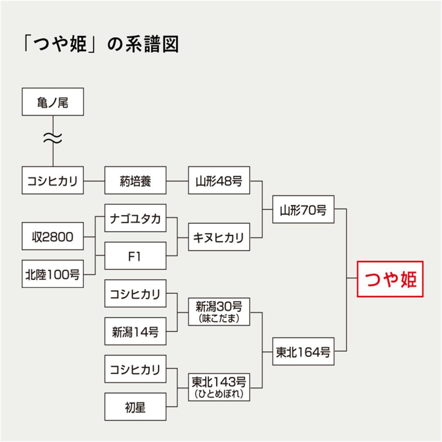 食べ比べ 北海道ゆめぴりか 山形県つや姫 10kg 各5kg 令和5年産 白米