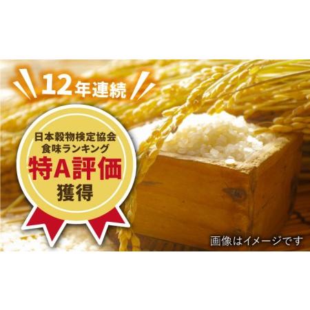 ふるさと納税 令和5年産 新米 佐賀県武雄市橘産 さがびより 20kg（5kg×4袋） 米 こめ [UCL003] お米 ごは.. 佐賀県武雄市