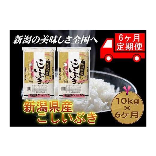 ふるさと納税 新潟県 新潟県産こしいぶき　5kg×2