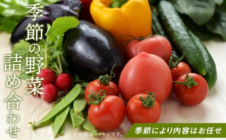 長崎県産　季節の野菜BOX