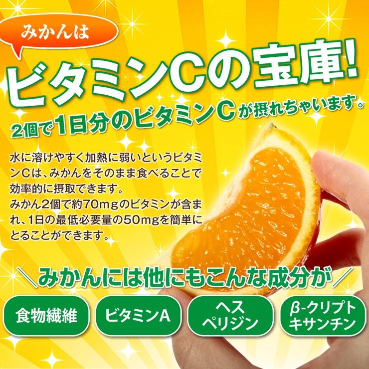 みかん 3kg 有田みかん 和歌山みかん ミカン 秀品 蜜柑 高級みかん 送料無料 和歌山県 有田みかん 2Lサイズ 箱買い 糖度 3キロ