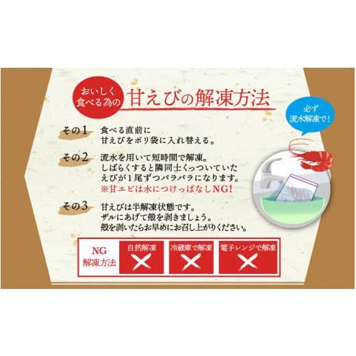 ふるさと納税 福井県 越前町 [e12-a022] 甘えび 中サイズ45尾（計500g）船内凍結 福井県沖から直送！鮮度と旨味に自信あり【福井漁連 ブランド品 甘エビ あま…