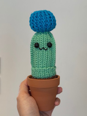 瑞雲仙人球鉤織盆栽