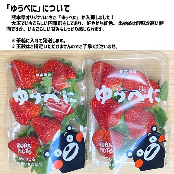 熊本県産 いちご ゆうべに 4パック 熊本いちご イチゴ ケーキ ジャム サラダ 贈答 ギフト 自宅用