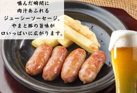 居酒屋天狗　大満足肉汁ソーセージ　ふるさと納税限定大容量セット　計96本