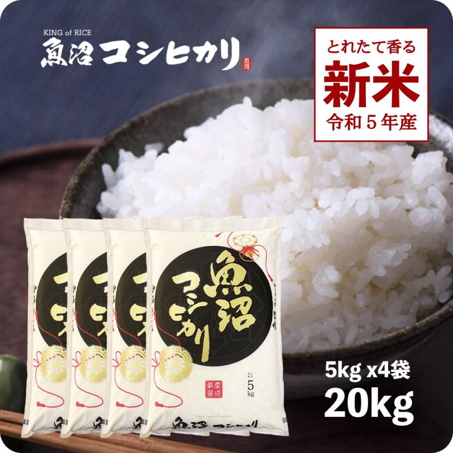 新米 20kg 魚沼産コシヒカリ お米 20キロ 令和5年産 こしひかり 送料無料 白米 産直 精米 5kgx4袋