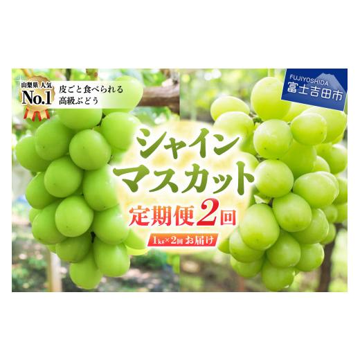 ふるさと納税 山梨県 富士吉田市 ジューシー で 甘さ 抜群 厳選 シャインマスカット 1kg × 2回配送 山梨県産シャイン…