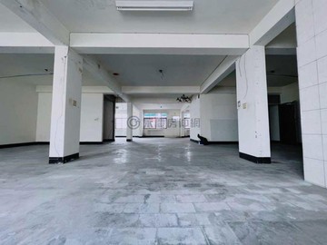 岡山空軍醫院旁5米寬透天店面 I -可3合一出售｜高雄市岡山區柳橋西路