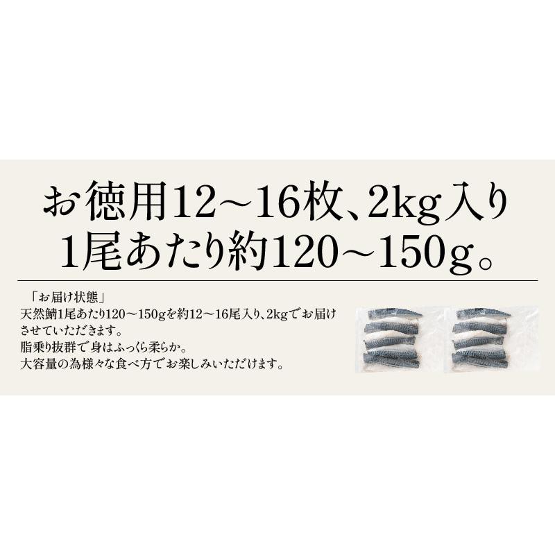 さば 無添加 無塩 トロさば サバ 鯖 約2kg(12〜16尾）トロ鯖 海鮮 天然 美味しい 魚 魚介 海産物 おかず おつまみ 冬グルメ 冬ギフト