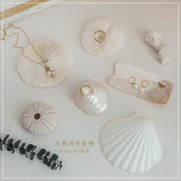 海洋風天然貝殼系列 拍攝道具 網拍道具 ins 拍照道具 攝影道具 擺件 道具 拍照裝飾