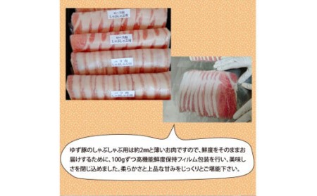 しゃぶしゃぶセット500g（約2人前）- 豚肉 しゃぶしゃぶ 豚しゃぶ 豚バラ 豚バラ ロース 豚バラスライス 国産 肉 ギフト・熨斗対応可 贈答