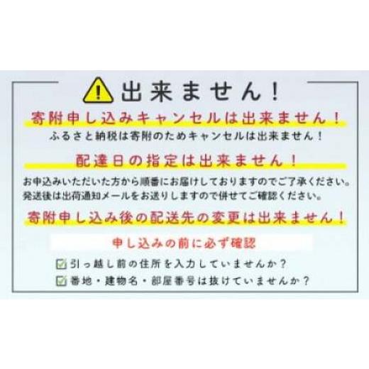 ふるさと納税 北海道 森町 森町銘産いかめし750g（250g×3） カット済み 醤油味《道産ネットミツハシ》 森町 いかめし 烏賊めし イカ飯 惣菜 いか …