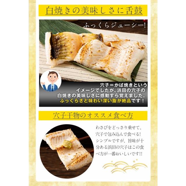 オススメ干物セット のどぐろ 干物 3種6枚セット 送料無料 穴子 イカ 干物セット プレゼント おつまみ 7-14営業日以内に発送(土日祝日除く)