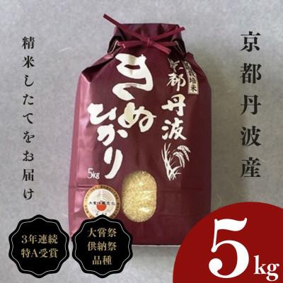 ふるさと納税 亀岡市 訳あり 3年連続特A※ 京都丹波米 きぬひかり5kg