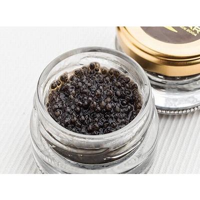 ふるさと納税 高知産熟成キャビア30g(化粧箱)シェルスプーン付Black　Jewel 高知県高知市